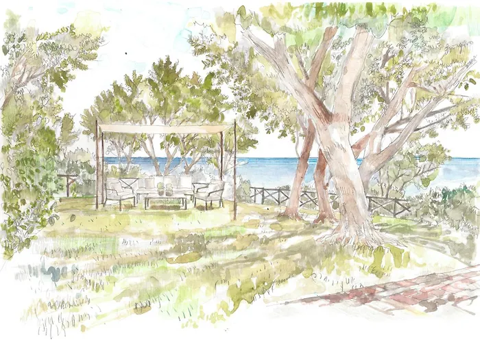 Il Pellicano